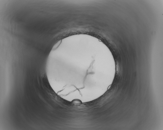 X0000111851492200908201226