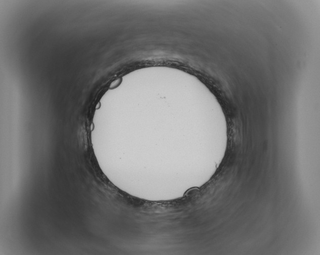 X0000111851493200908201226