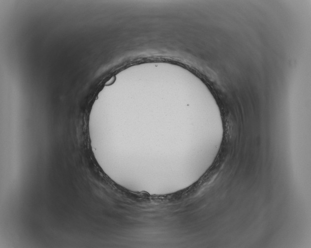 X0000111851494200908201226