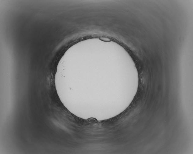 X0000111851495200908201226