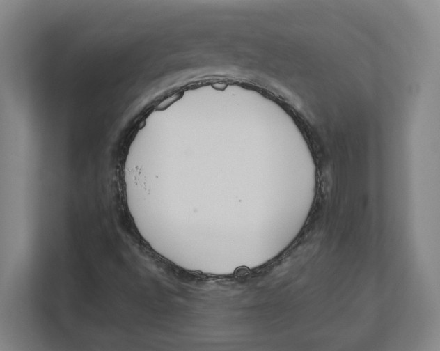 X0000111851496200908201226