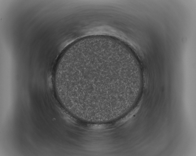 X0000111851497200908201226