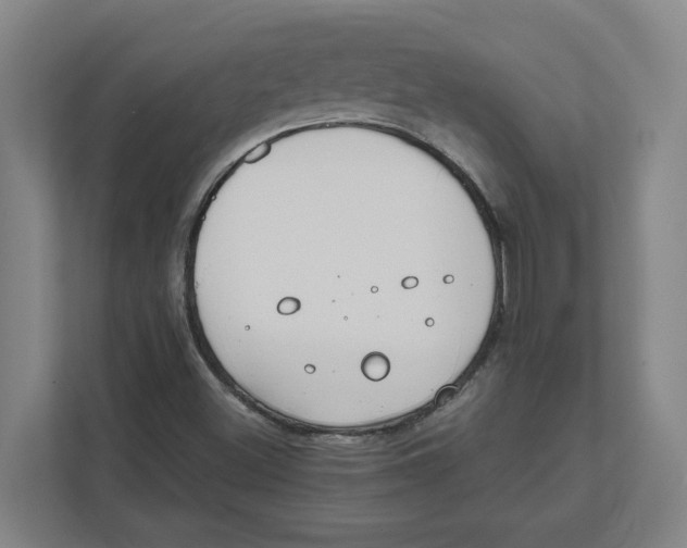 X0000111851500200908201226