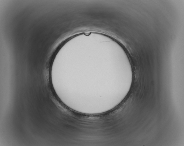 X0000111851503200908201226