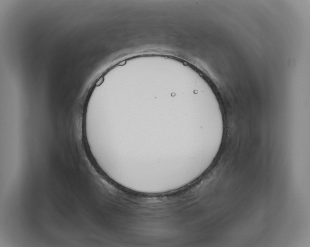 X0000111851504200908201226