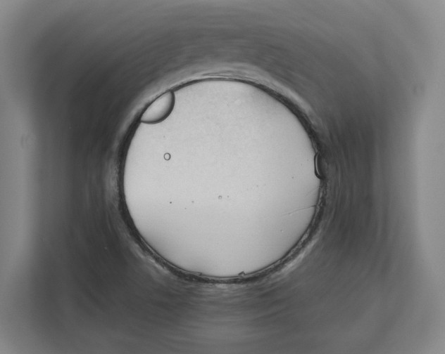 X0000111851506200908201226