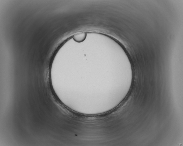 X0000111851507200908201226