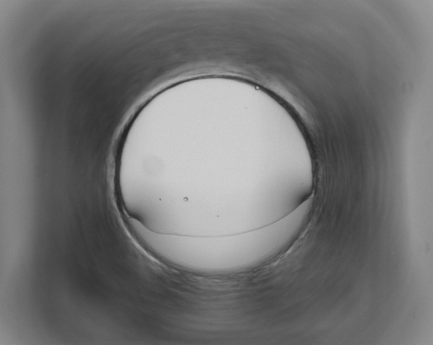 X0000111851508200908201226