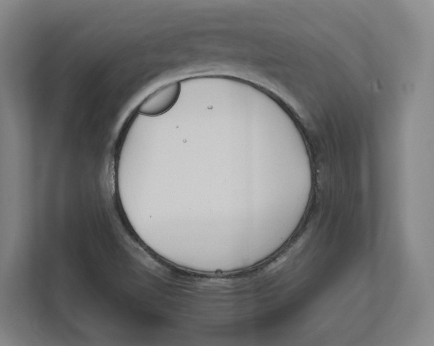 X0000111851510200908201227