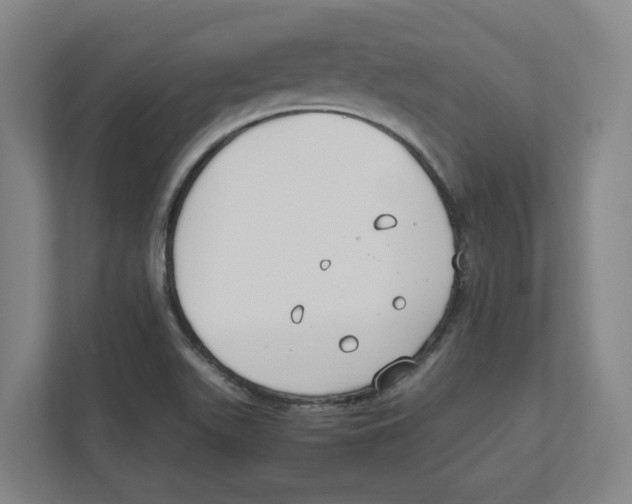 X0000111851511200908201227