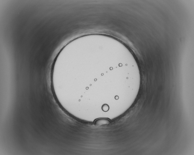 X0000111851512200908201227