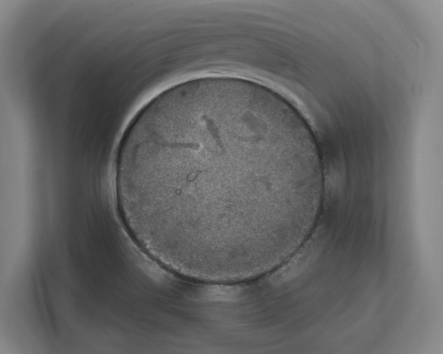 X0000111851514200908201227