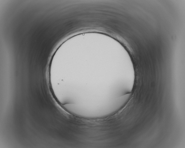 X0000111851516200908201227