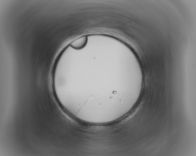 X0000111851517200908201227