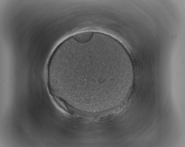 X0000111851519200908201227