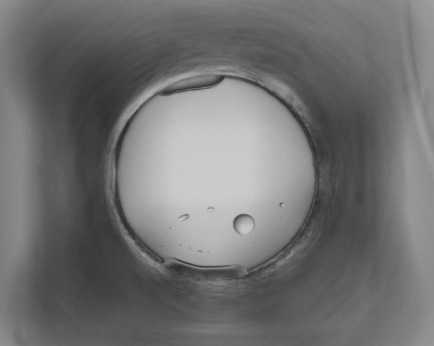 X0000111851520200908201227