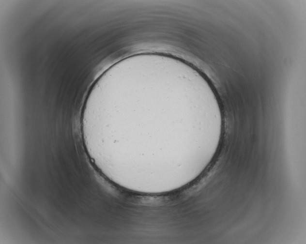 X0000111851521200908201227