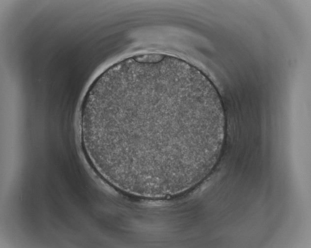 X0000111851522200908201227