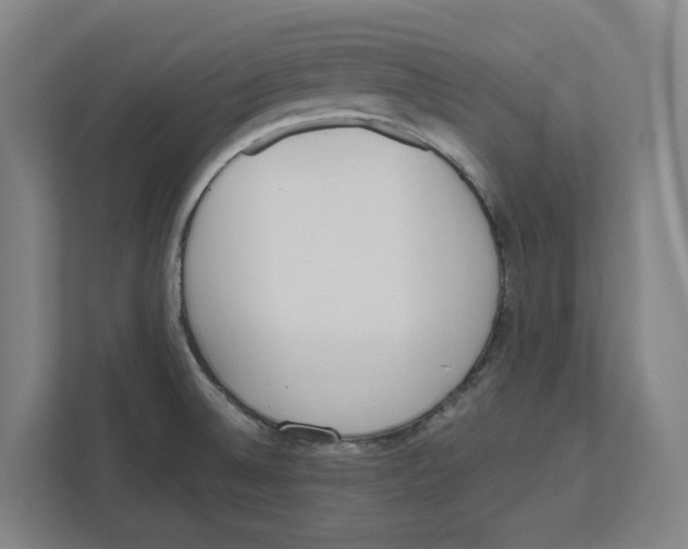 X0000111851524200908201227