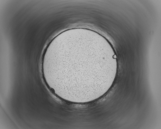 X0000111851525200908201227