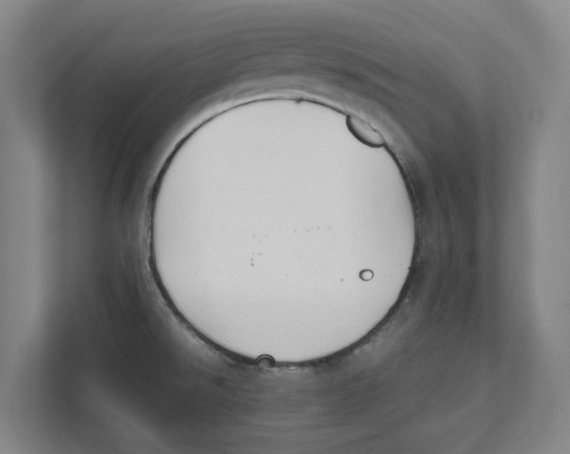 X0000111851526200908201227