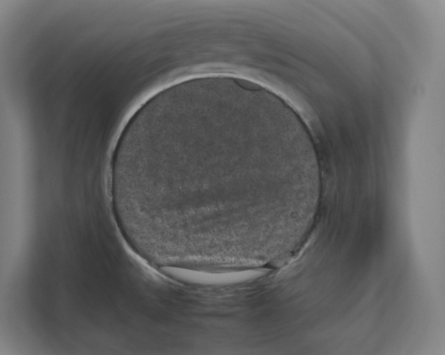 X0000111851527200908201227