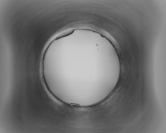 X0000111851528200908201227