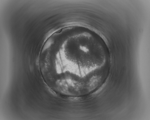 X0000111851529200908201227