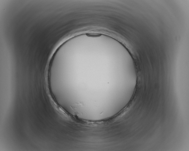 X0000111851530200908201227