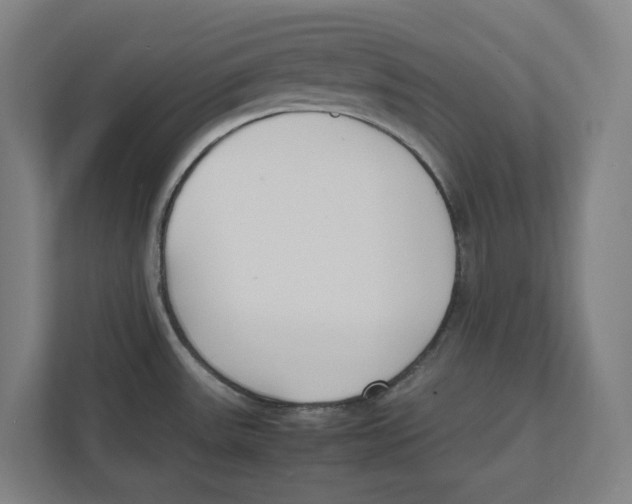 X0000111851531200908201227