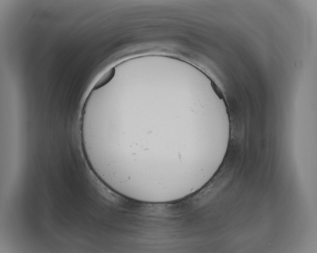 X0000111851532200908201227