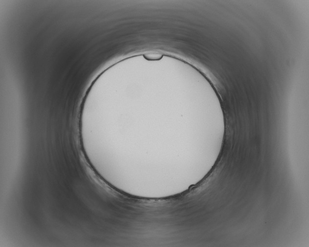 X0000111851534200908201227