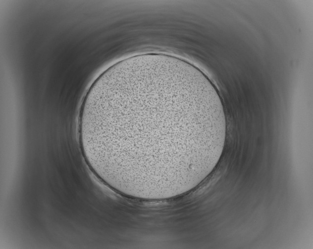 X0000111851535200908201227