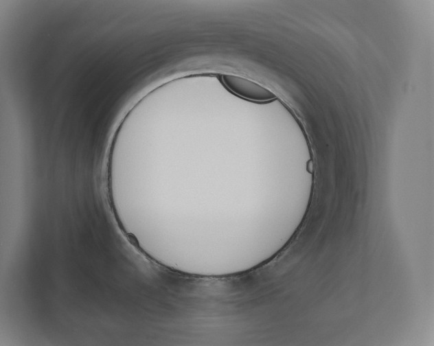 X0000111851536200908201227