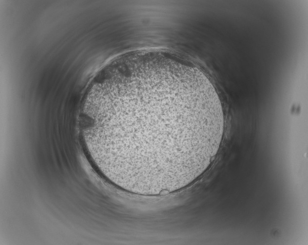 X0000111850002200909031738