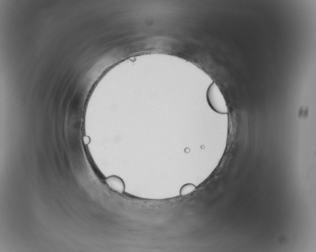 X0000111850003200909031738