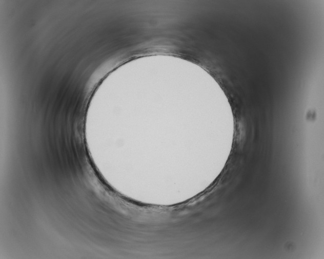 X0000111850004200909031738