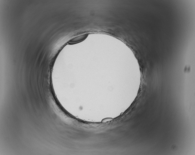 X0000111850005200909031738