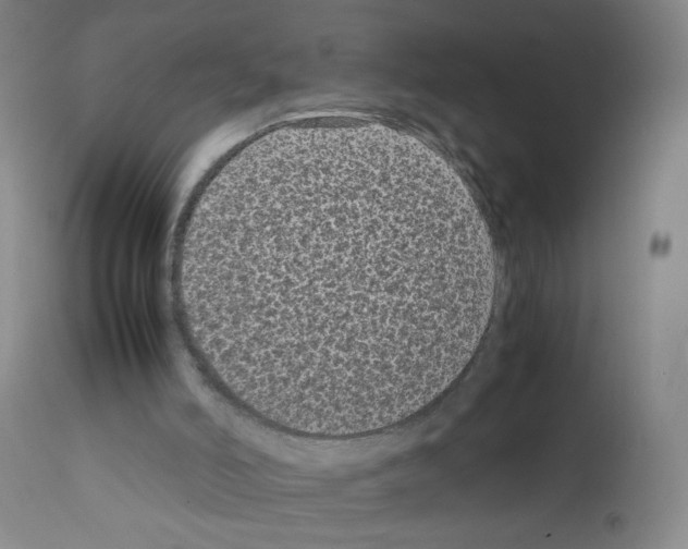 X0000111850006200909031738