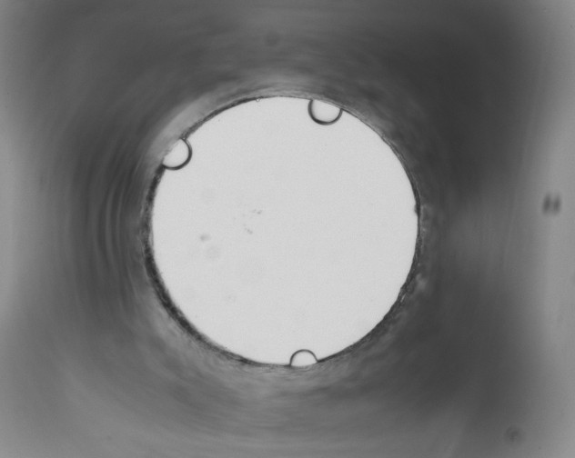 X0000111850007200909031738