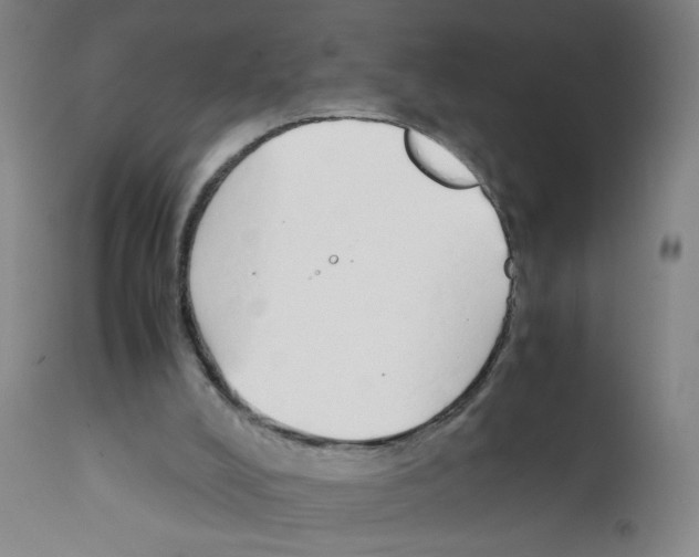 X0000111850008200909031738