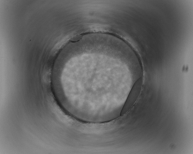 X0000111850009200909031738