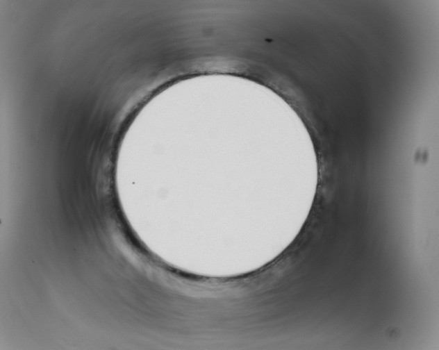 X0000111850012200909031738