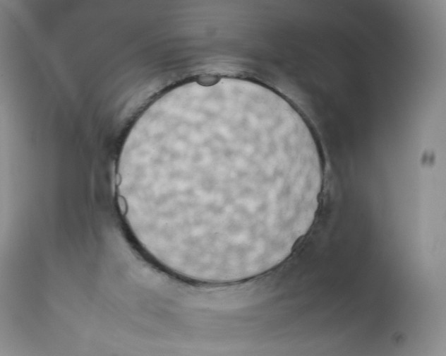 X0000111850013200909031738
