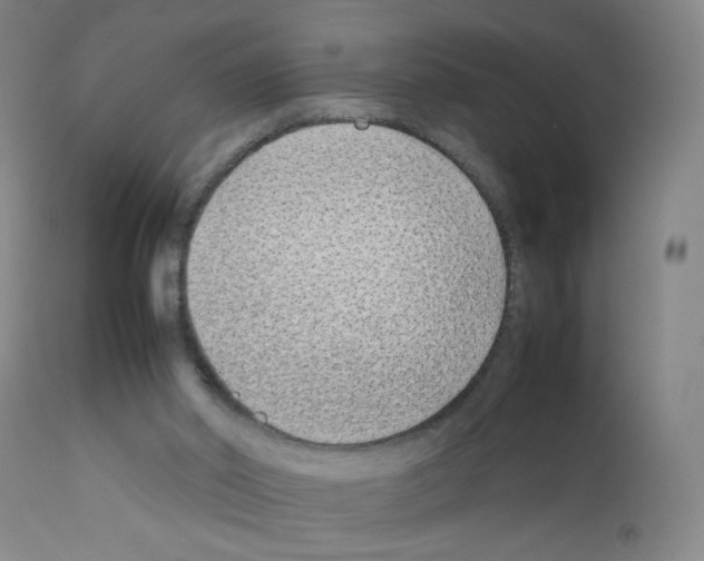 X0000111850014200909031738