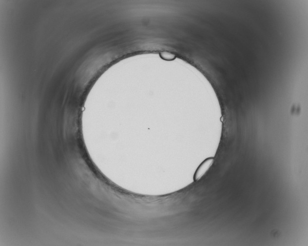 X0000111850015200909031738