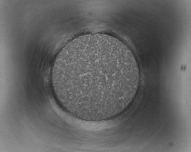 X0000111850018200909031738