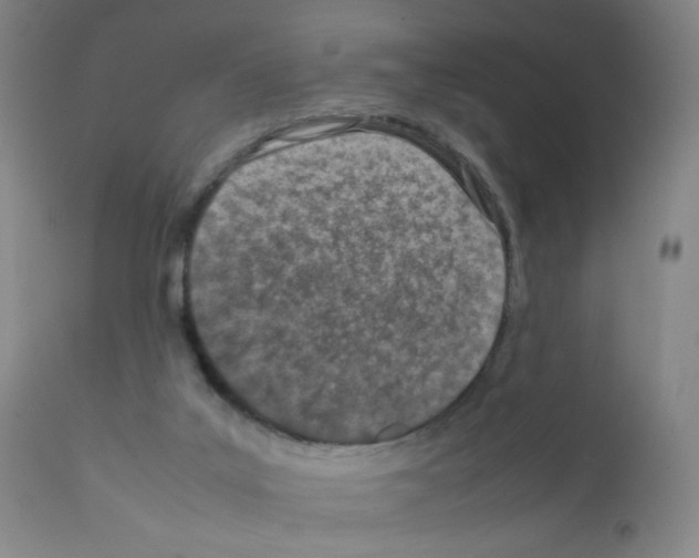 X0000111850019200909031738