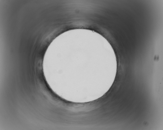 X0000111850021200909031738