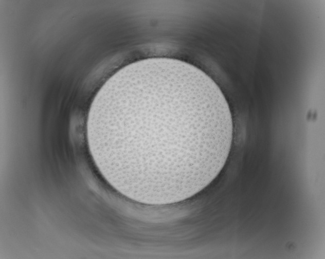 X0000111850022200909031738